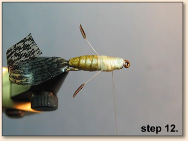 Step 12