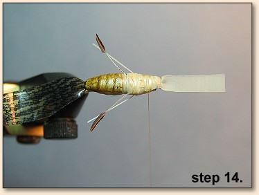 Step 14