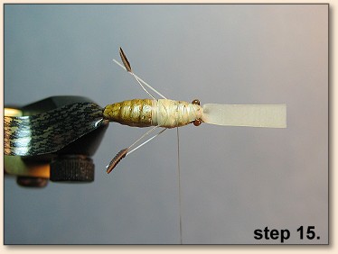Step 15