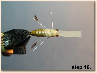 Step 16