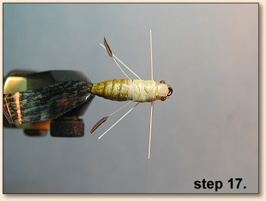 Step 17