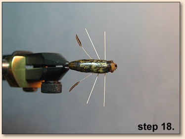 Step 18