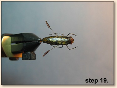 Step 19