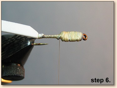 Step 6