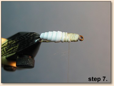 Step 7
