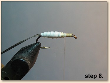 Step 8