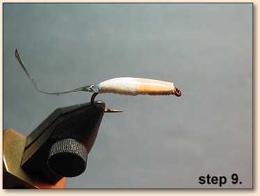Step 9