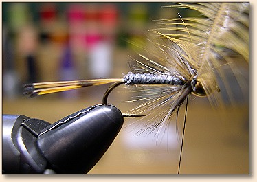 Step 4