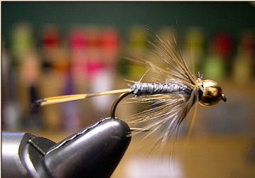 Step 5