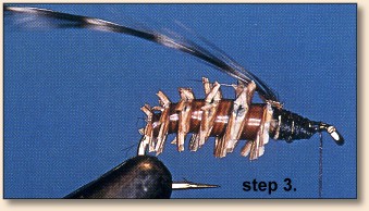 Step 3