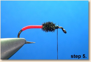 Step 5