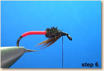 Step 6