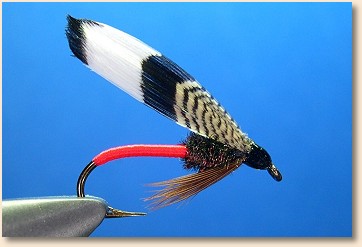 Step 7