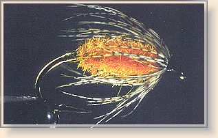 Carrot Nymph
