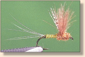 Blue Wing Olive CDC Biot Comparadun