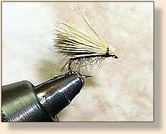 CDC Caddis