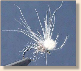 CDC Holographic Suspending Midge