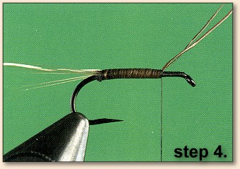 Step 4