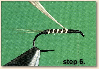 Step 6