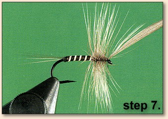 Step 7