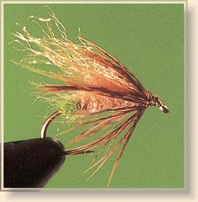 Diving Caddis