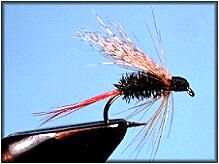 Deerfield Special