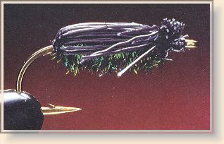 Deer-hair Beetle