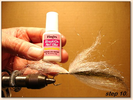 Step 10