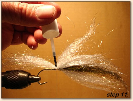 Step 11