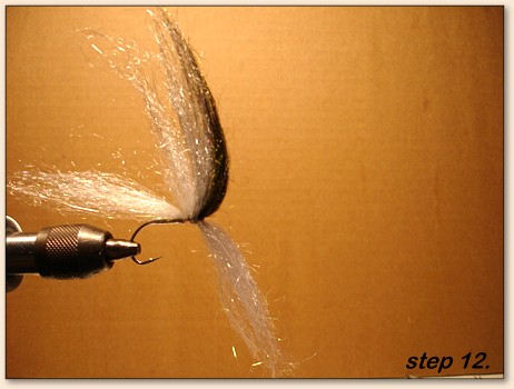 Step 12