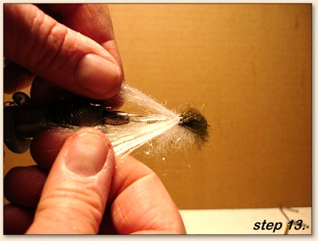 Step 13