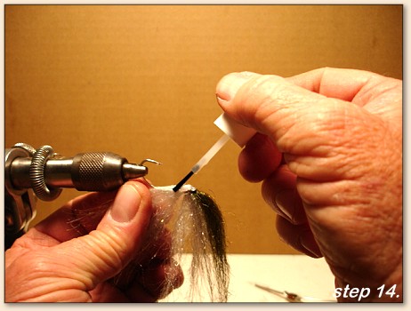 Step 14