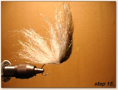Step 15