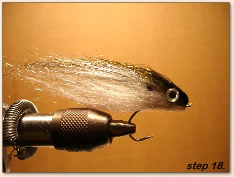 Step 18