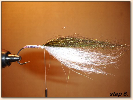 Step 6
