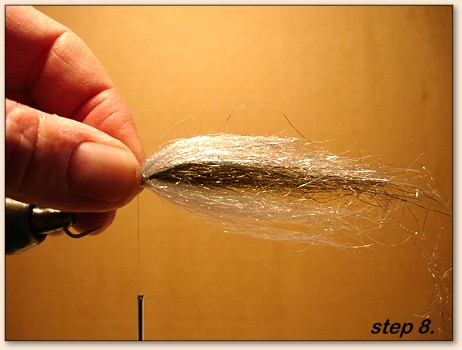 Step 8