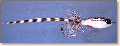 Shad Slider