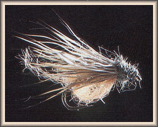 LaFontaine Emergent Sparkle Pupa