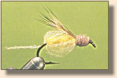 Emergent Sparkle Pupa
