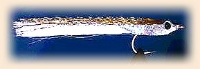 Flashy Anchovy