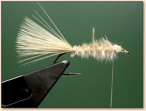 Step 6