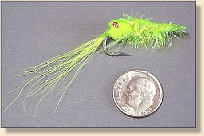 Ghost Shrimp