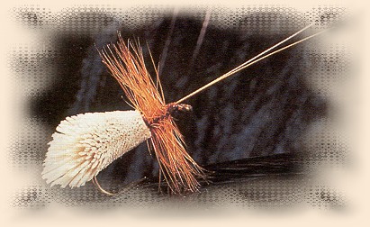 Goddard Caddis