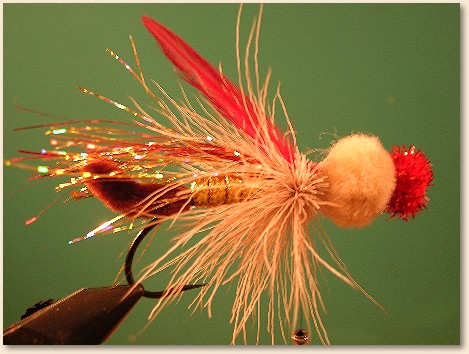 Step 6