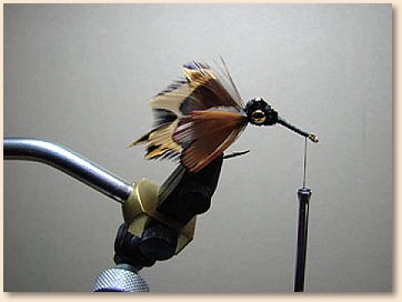 Step 8