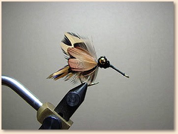Step 9
