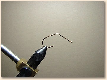 Step 1