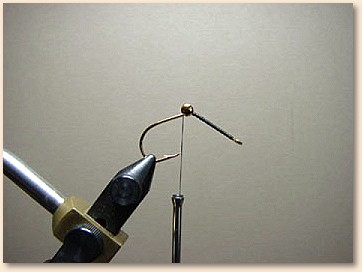 Step 2