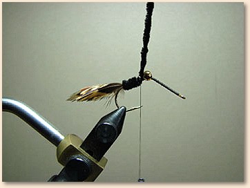 Step 6