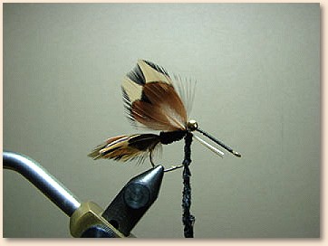 Step 7